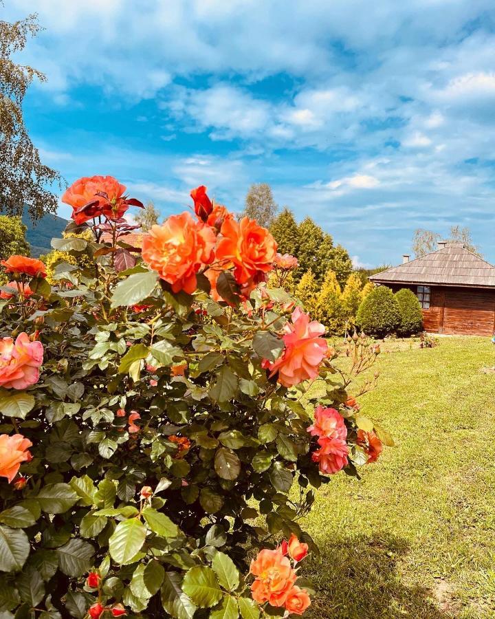 Hotel Etno Selo Vranesa Zlatar Nova Varoš Exteriér fotografie